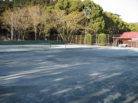 金平テニスコート2