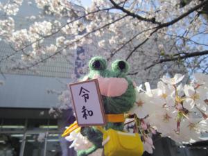 新元号は「令和」です。めくるくん、桜もきれいだね。