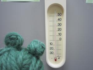書庫の温度計で温度をチェックするめくるくんです。