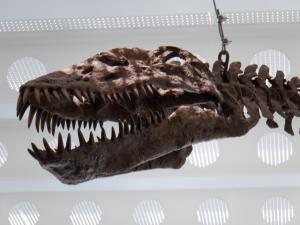 プレシオサウルス2