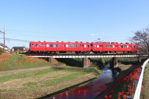 彼岸花と赤い電車
