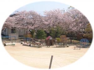 園庭の桜の写真があります