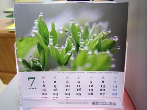 いがりさんの写真が美しいカレンダーです。