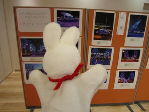 写真コンテストの作品が展示されています。