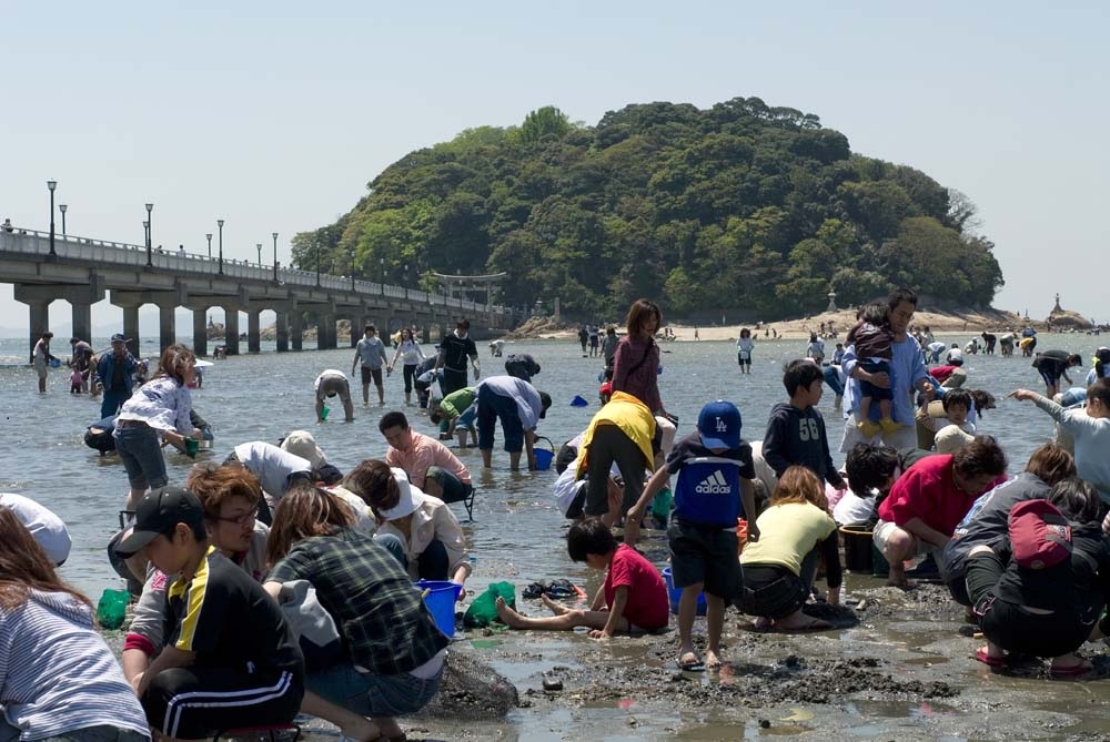 竹島海岸で潮干狩りをしている写真