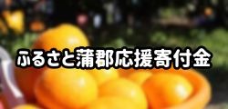 ふるさと蒲郡応援寄附金