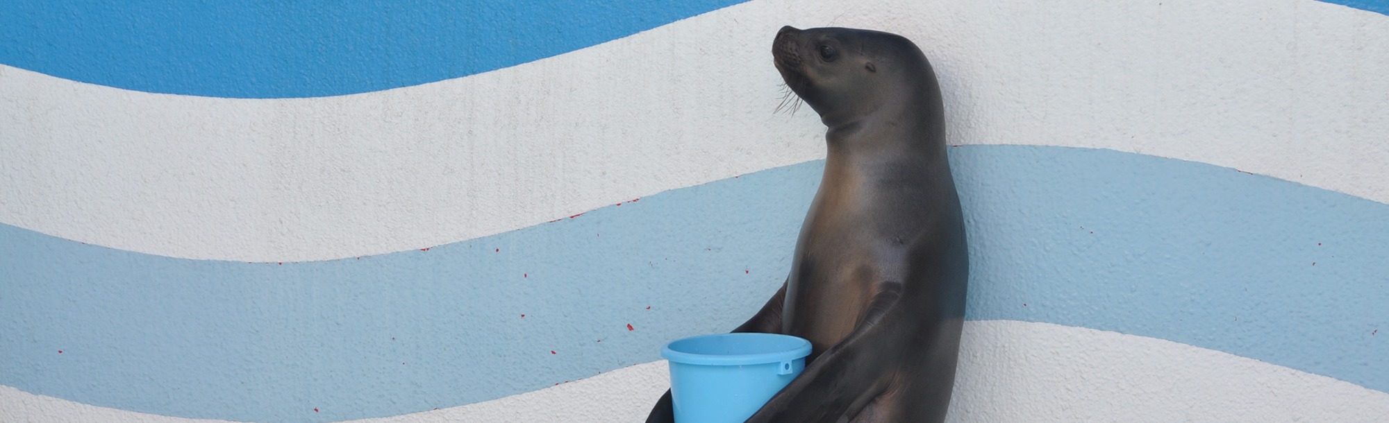 竹島水族館　スライド4枚目