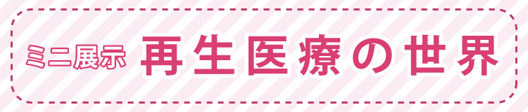 ミニ展示「再生医療の世界」