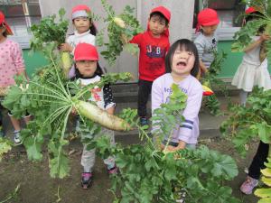 大根を持つ4歳児
