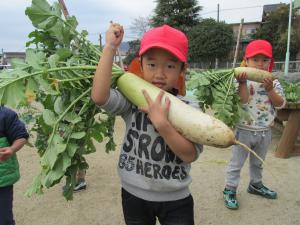 大きい大根に喜ぶ子ども