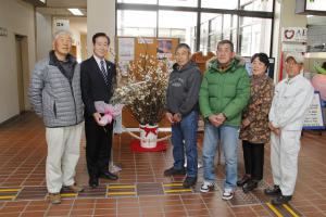 平成２９年３月３日（春日桜会　桜披露）の画像