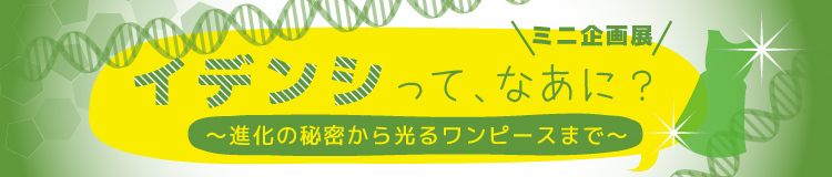 ミニ企画展　「イデンシって、なあに？ ～進化の秘密から光るワンピースまで～」