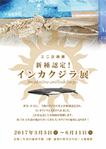 ミニ企画展 「新種認定！インカクジラ展」