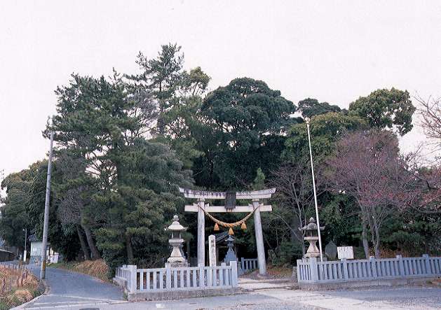 大塚町広畑・素盞嗚神社社叢（すさのおじんじゃしゃそう）