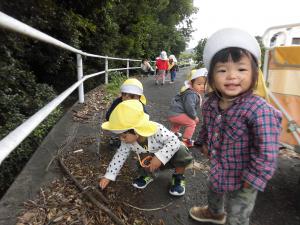 子どもたちがしいのみを見つけて拾っています。