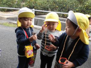 子供たちが木の実を見つけました