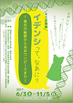 ミニ企画展　「イデンシって、なあに？ ～進化の秘密から光るワンピースまで～」