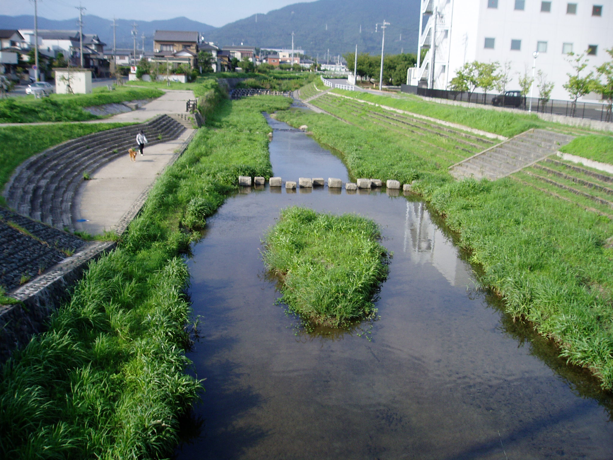 記念橋上流の親水護岸の写真