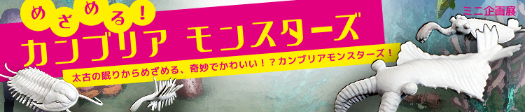 ミニ企画展「めざめる！カンブリアモンスターズ」　