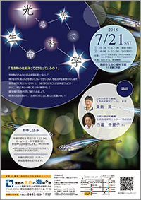 光る魚で生命科学A4