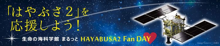 「はやぶさ2」を応援しよう！　生命の海科学館　まるっと　HAYABUSA2 Fan DAY