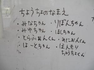 ちょうちょの名前一覧の画像
