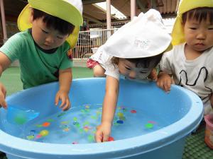 たらいの水で遊ぶ2歳児の画像