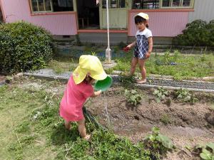 畑に水やりをする子の画像