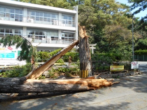 南部市民センター（府相公民館）の写真