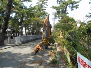 南部市民センター（府相公民館）の写真