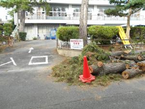 南部市民センター入口の様子です。