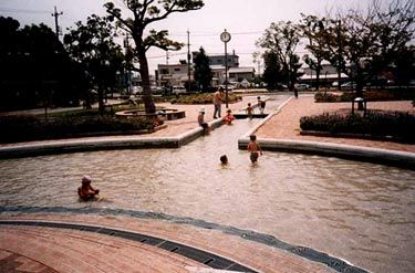 水浴びの画像