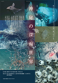 ミニ企画展「神秘の深海世界」A4