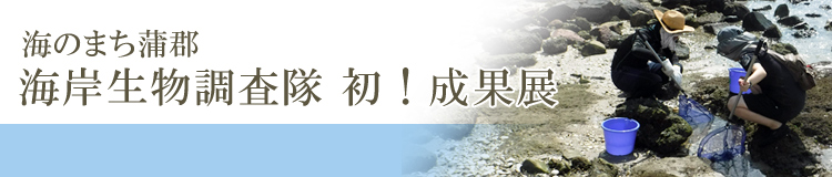 海のまち蒲郡・海岸生物調査隊 初！成果展