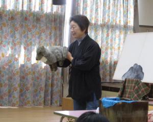 とうふねこ座