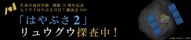 もうすぐはやぶさの日！講演会2019　「はやぶさ2」リュウグウ探査中！