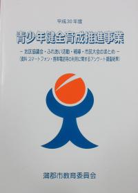 ３０年報告書表紙