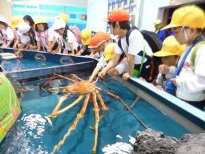 竹島水族館