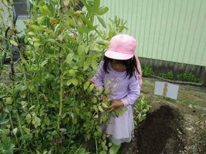 そらまめくんのベッド 愛知県蒲郡市公式ホームページ