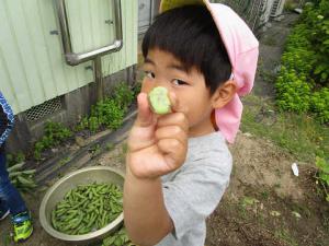 そらまめくんのベッド 愛知県蒲郡市公式ホームページ