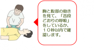 胸と腹部の動きを見て、普段通りの呼吸をしているか１０秒以内で確認します