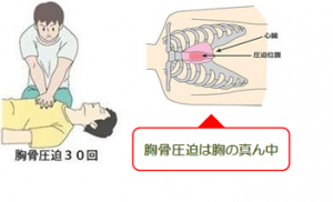 胸骨圧迫３０回、胸骨圧迫の位置は胸の真ん中