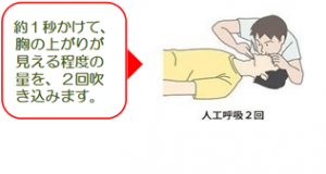 約１秒かけて、胸の上りが見える程度の量を２回吹き込みます