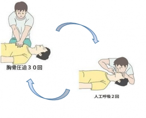 胸骨圧迫３０回と人工呼吸２回を繰り返す