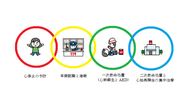 救命の連鎖、心停止の予防、早期認識と通報、一次救命処置（心肺蘇生とＡＥＤ）、二次救命処置と心拍再開後の集中治療