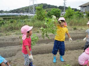 抜けたところの画像