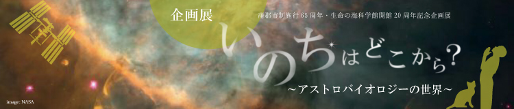 2019年企画展「いのちはどこから？ ～アストロバイオロジーの世界～」