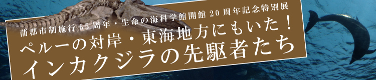 開館20周年記念特別展「ペルーの対岸・東海地方にもいた！インカクジラの先駆者たち」