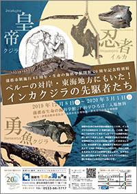 開館20周年記念特別展「ペルーの対岸・東海地方にもいた！インカクジラの先駆者たち」