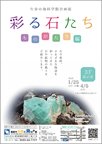 企画展「彩る石たち ～ものがたり編～」A4チラシ